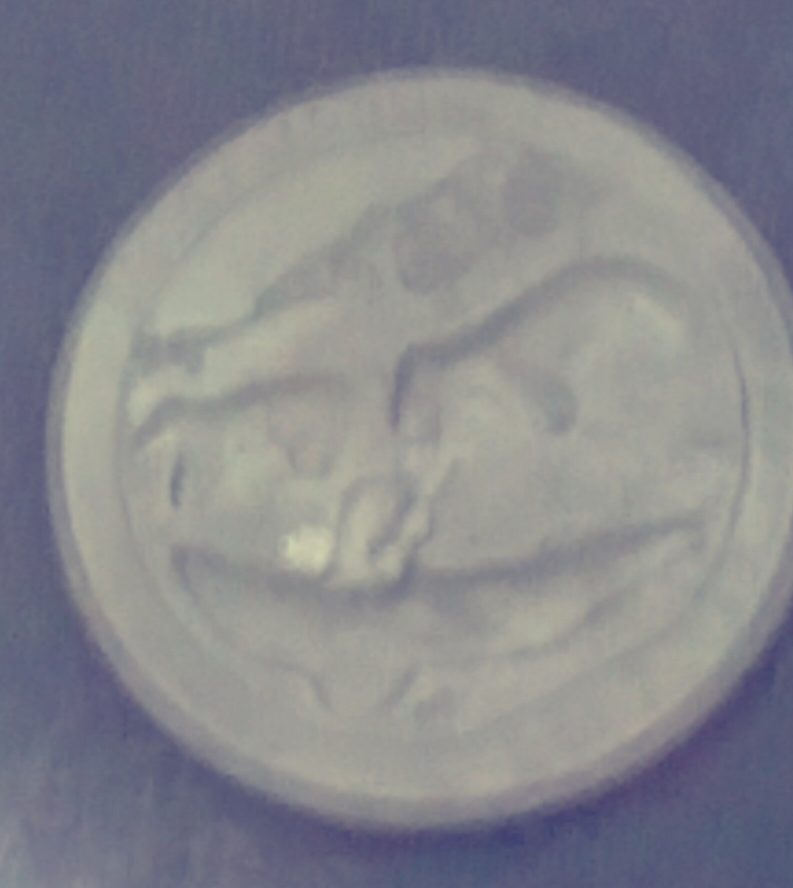 2017-P-Effigy-Mounds-Quarter-Error